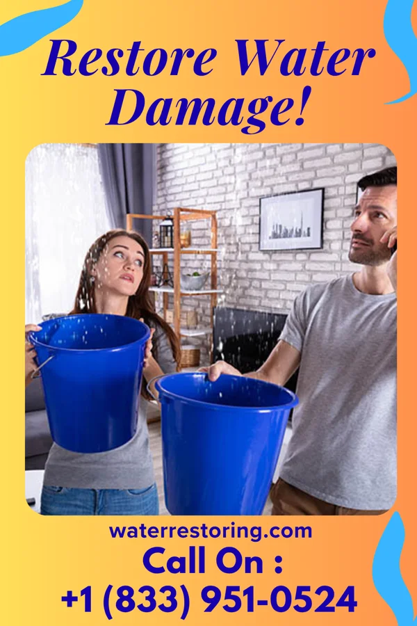 water restoration First Sewage Cleanup Professionals Gallipolis