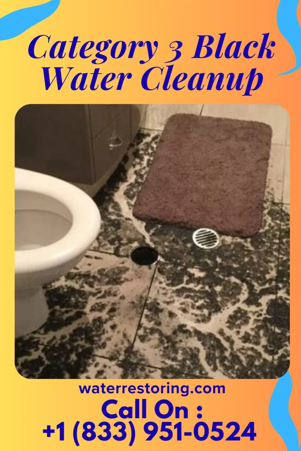 Category 3 Black Water Cleanup in Gallipolis, OH